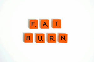 Fat-Burning Speed vs Efficiency: What Ketones Mean
