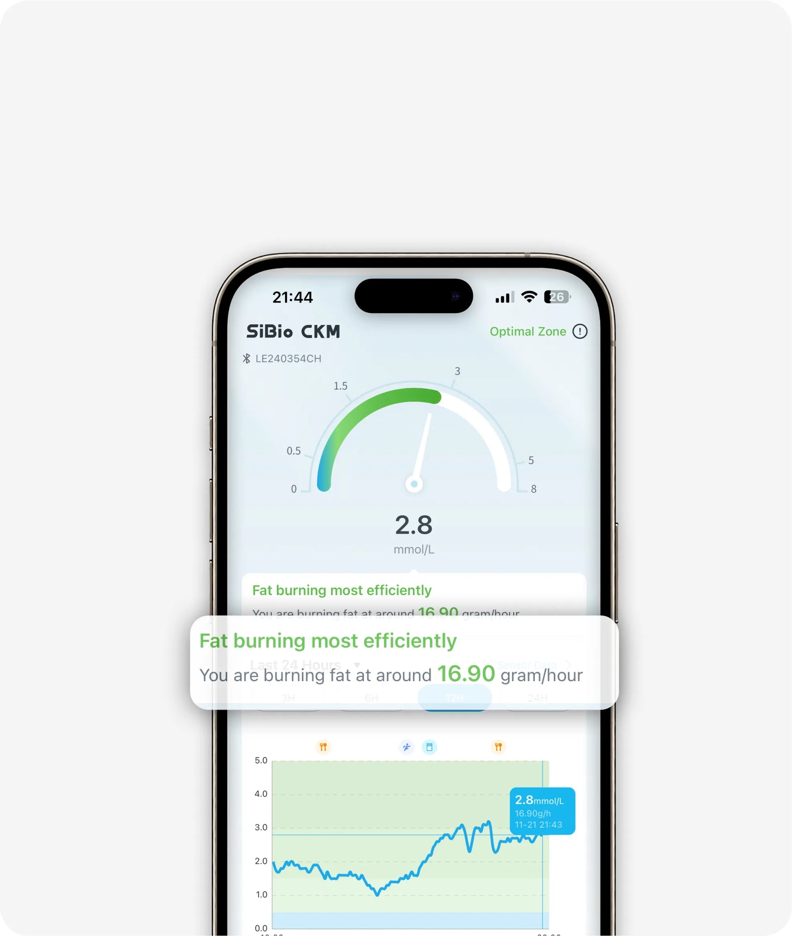 Live Fat-Burning Efficiency