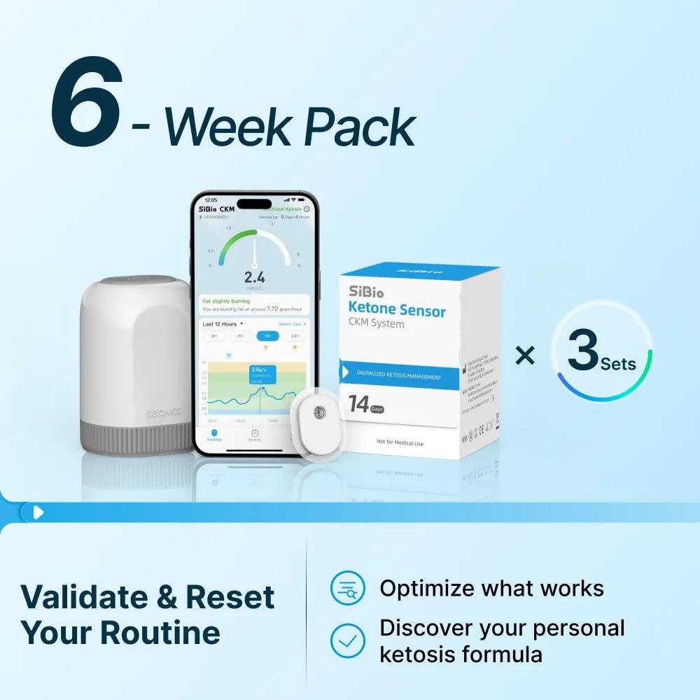 SiBio KS3 Continuous Ketone Monitoring System(CKM) - SiBio