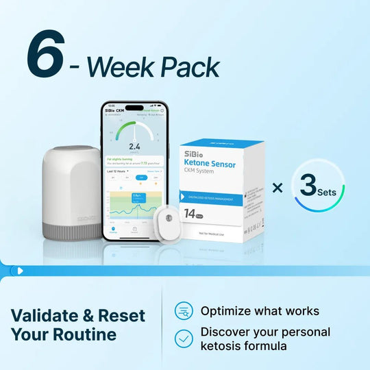 SiBio KS3 Continuous Ketone Monitoring System(CKM) - SiBio